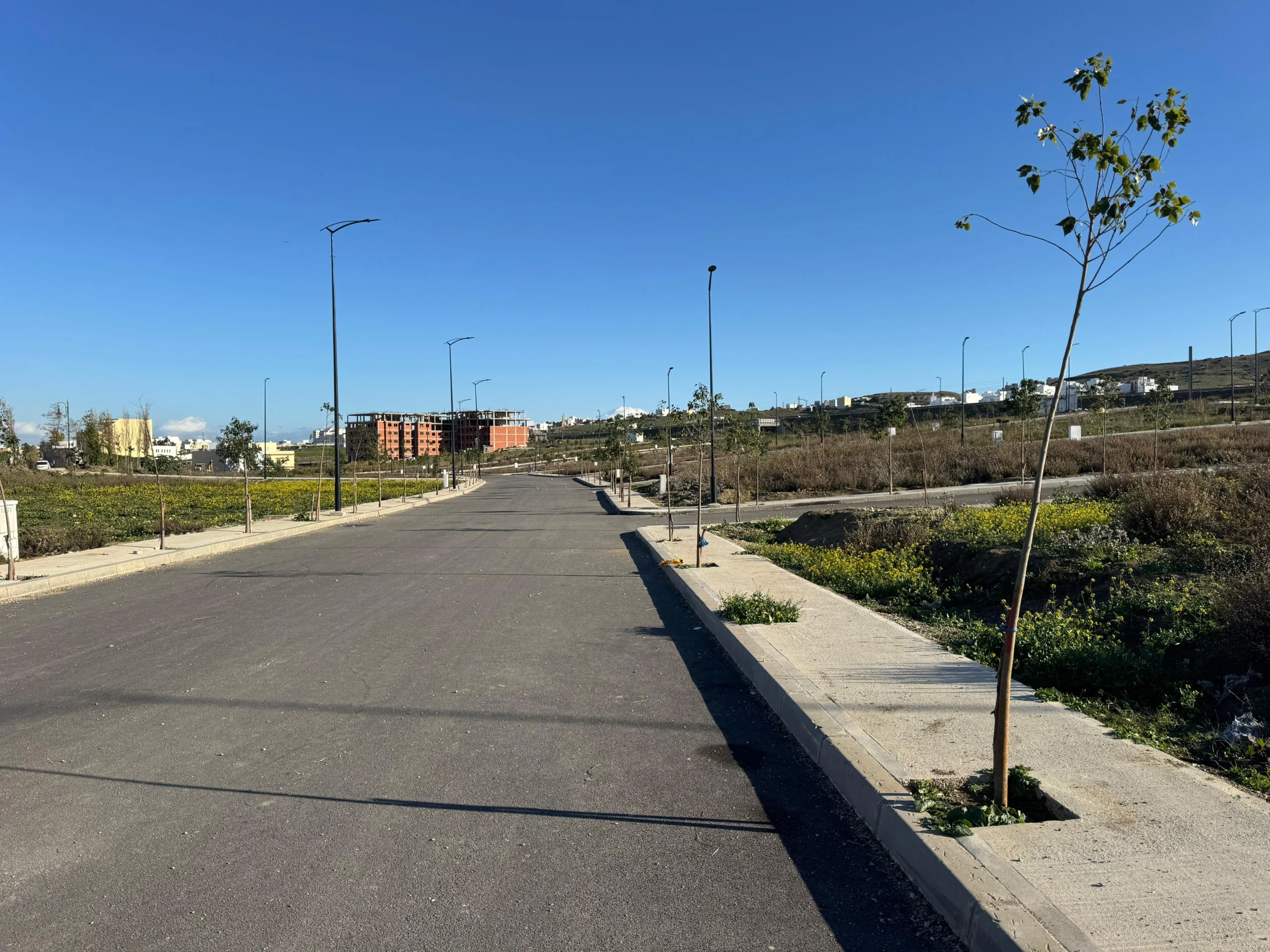 WhatsApp Image 2025-01-02 à 10.58.18_40b93271